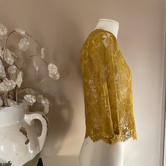 Zara lace top - Picture 3 of 7